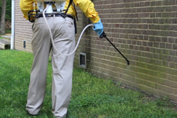 Weed Control Treatment